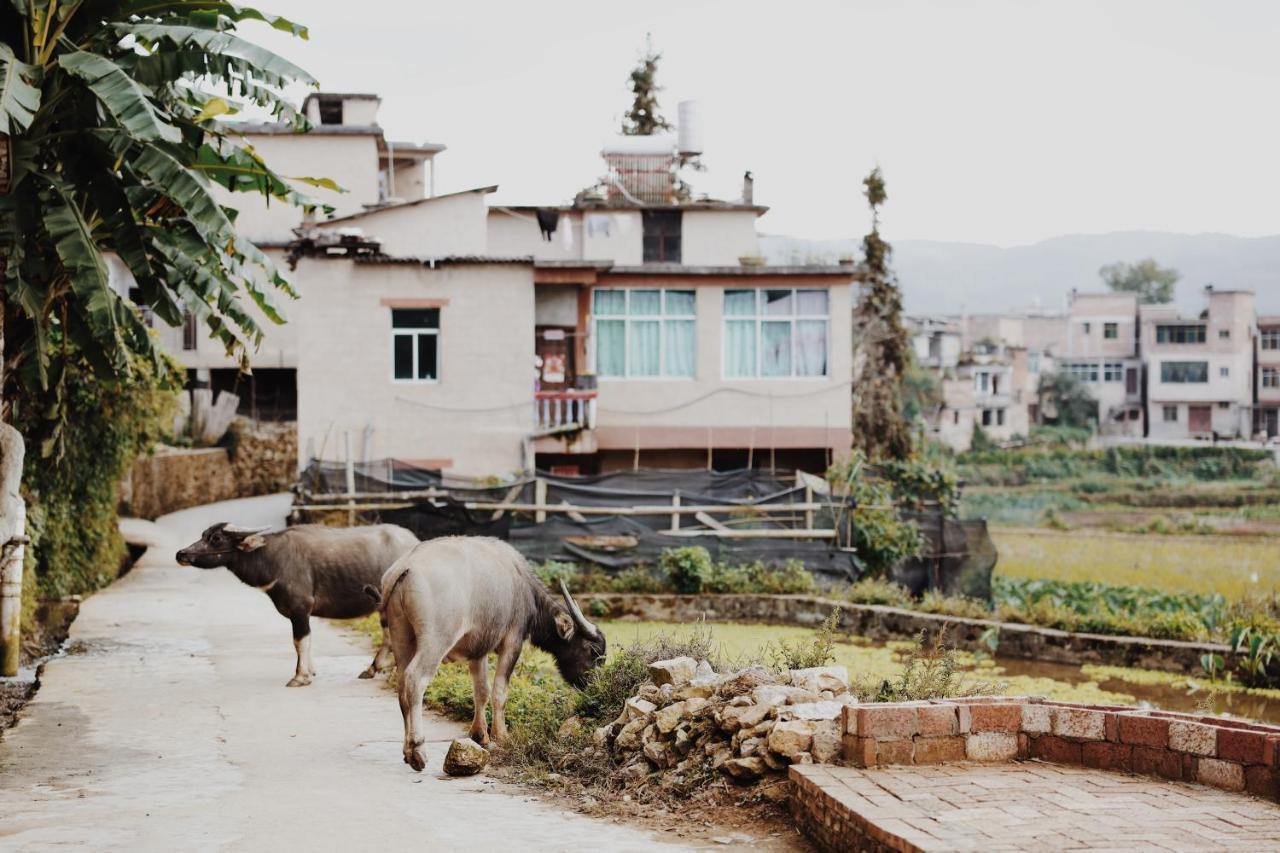 The Twelve Manor•Terraces Lodge Yuanyang  Exterior foto